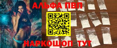 гашик Кингисепп