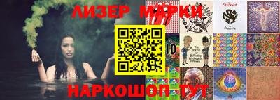 гашик Кингисепп