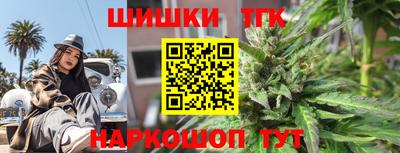 гашик Кингисепп