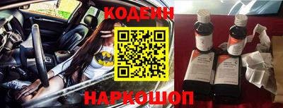 гашик Кингисепп