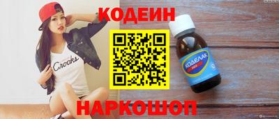 гашик Кингисепп