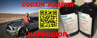гашик Кингисепп