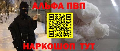 гашик Кингисепп