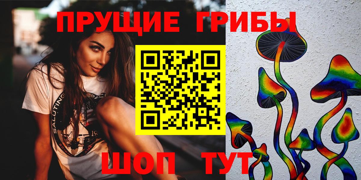 Кыштым  Галлюциногенные грибы Psilocybe  Вход с VPN 